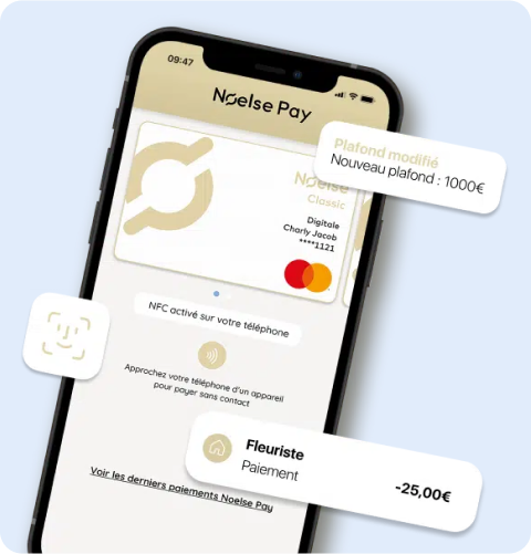 Gestion des plafonds Noelse