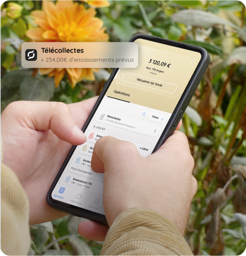 Suivez vos comptes avec Noelse